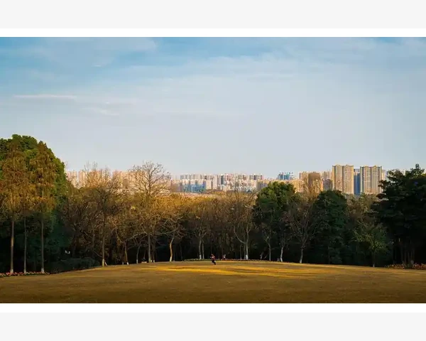 气血不足？喝红糖！中医告诉你最佳选择